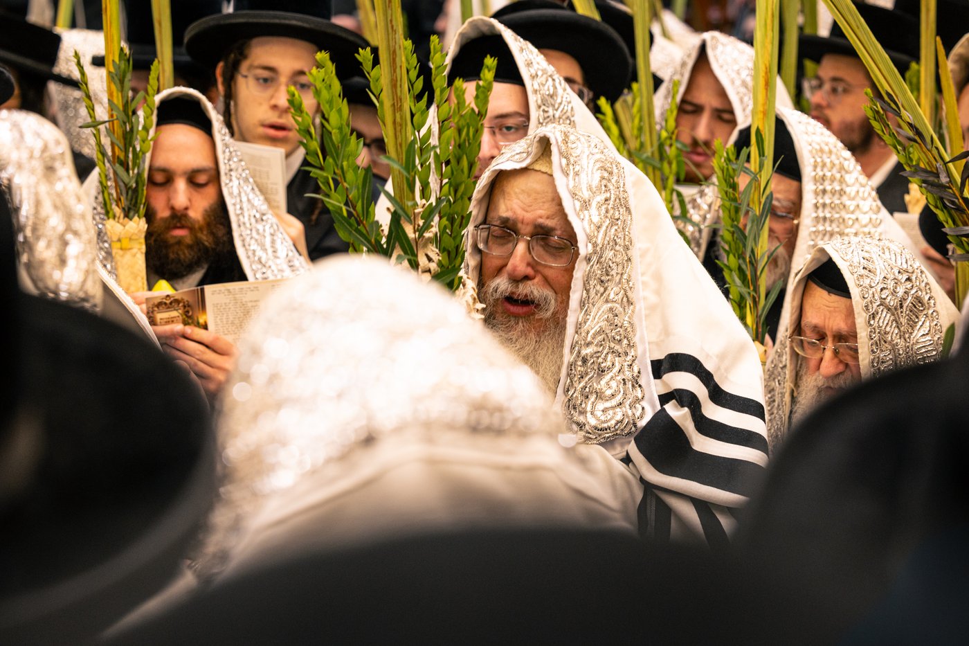 ירח האיתנים בחצר הקודש טאהש | צילום: משה פאנעט