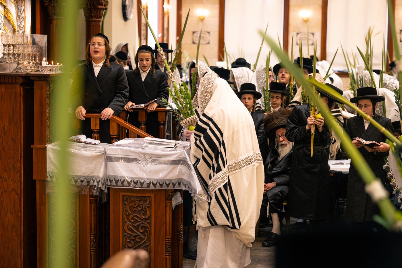 ירח האיתנים בחצר הקודש טאהש | צילום: משה פאנעט