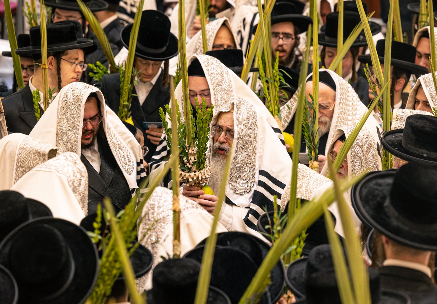 ירח האיתנים בחצר הקודש טאהש | צילום: משה פאנעט