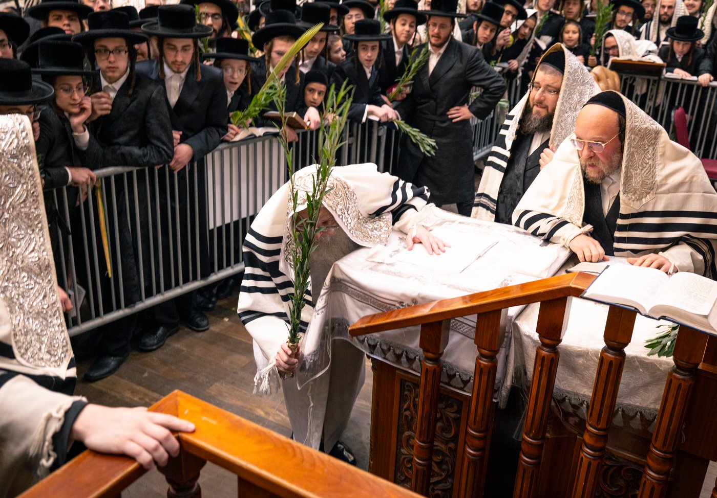 ירח האיתנים בחצר הקודש טאהש | צילום: משה פאנעט
