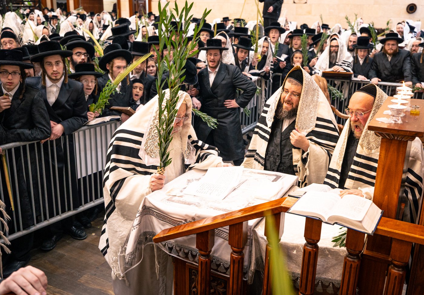 ירח האיתנים בחצר הקודש טאהש | צילום: משה פאנעט