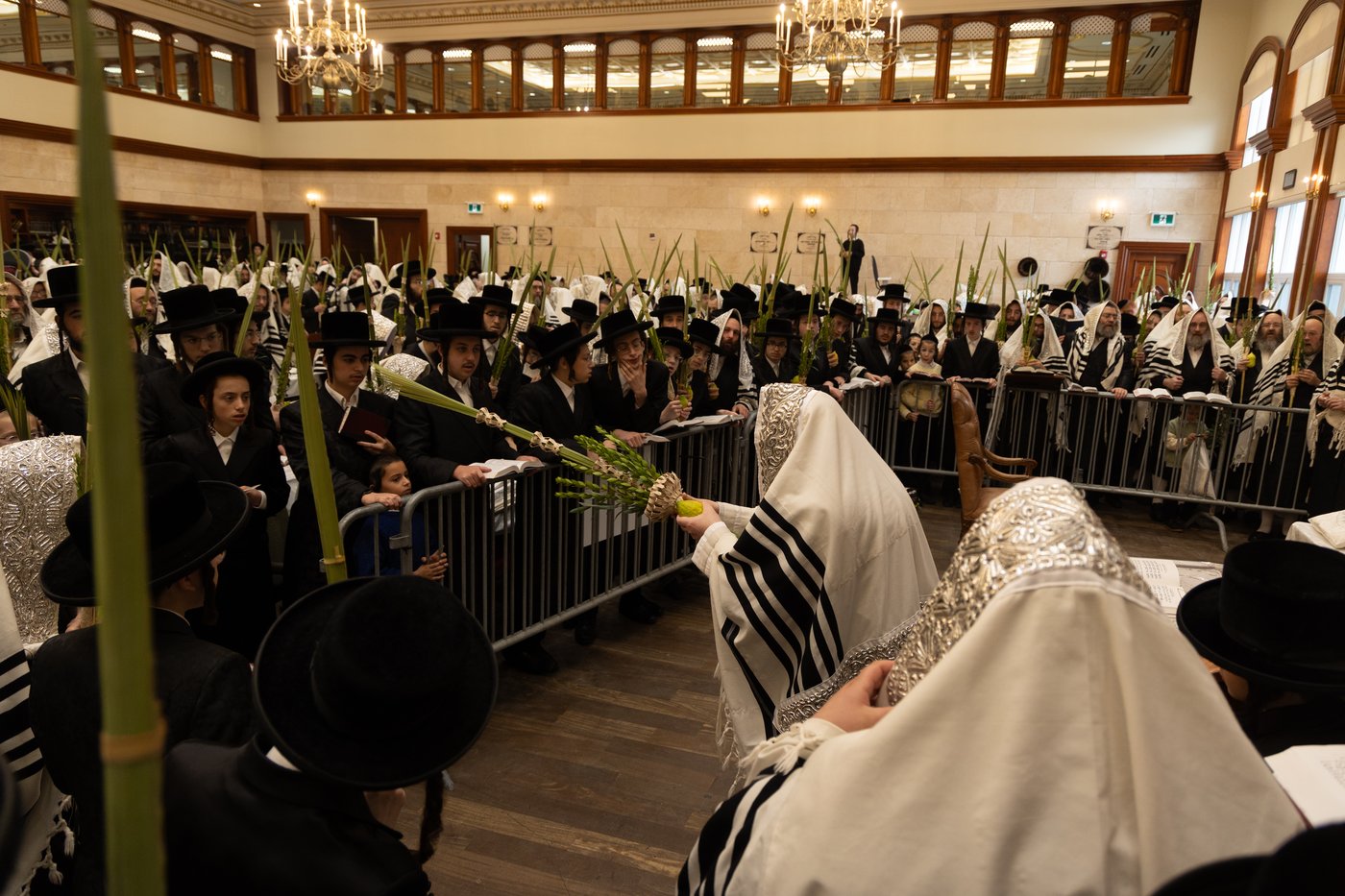 ירח האיתנים בחצר הקודש טאהש | צילום: משה פאנעט