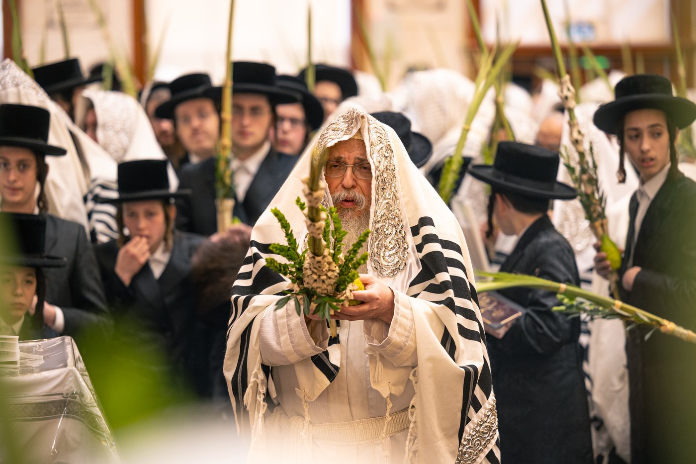 ירח האיתנים בחצר הקודש טאהש | צילום: משה פאנעט