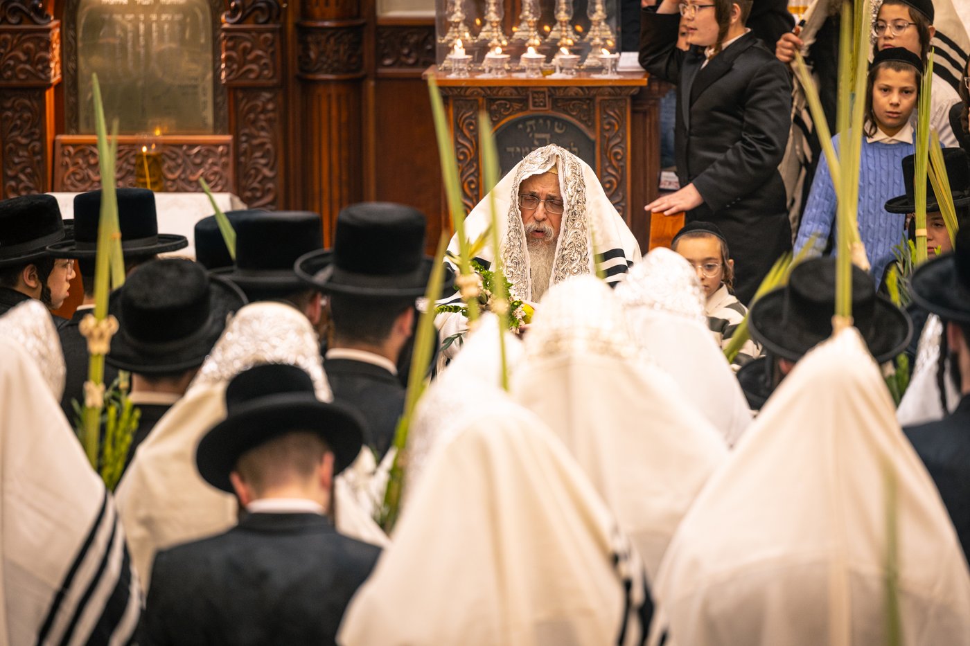 ירח האיתנים בחצר הקודש טאהש | צילום: משה פאנעט