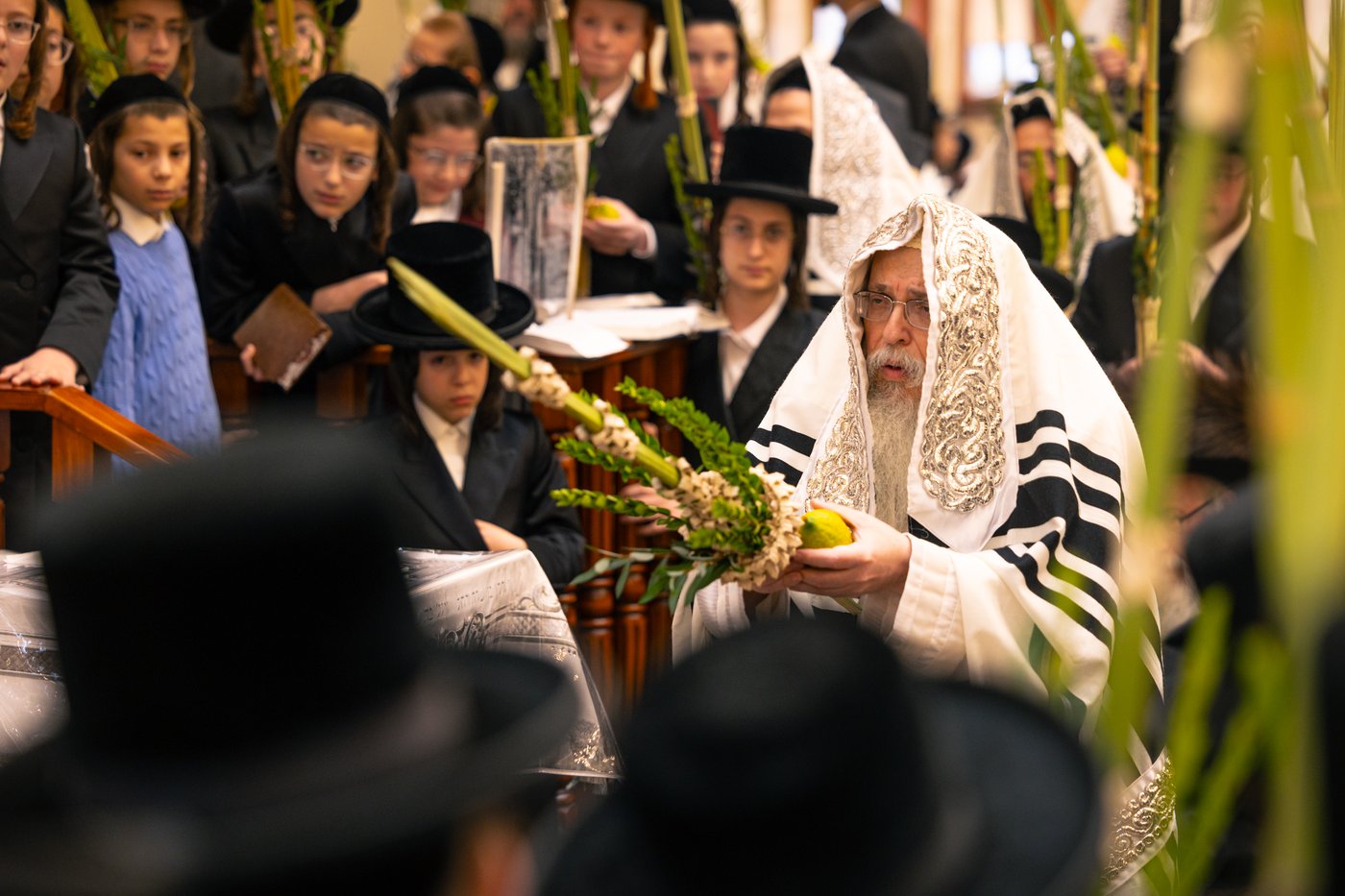 ירח האיתנים בחצר הקודש טאהש | צילום: משה פאנעט