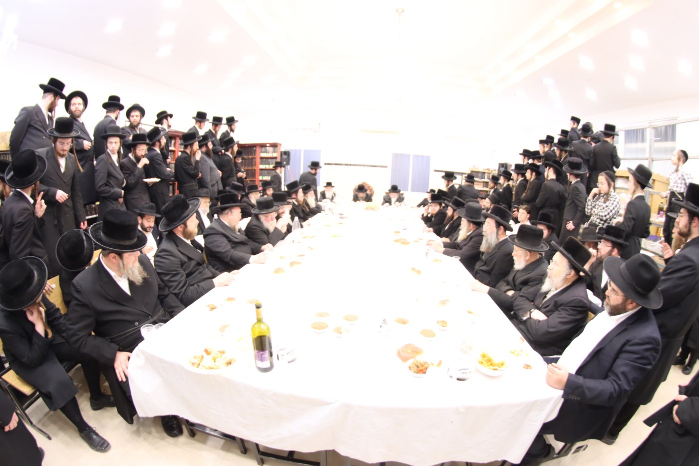 הילולא קדישא בביאלה בית שמש