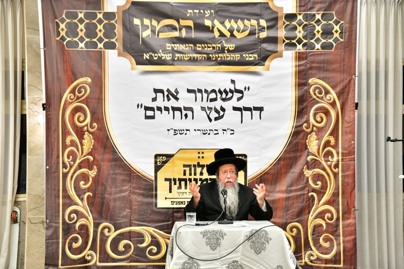 כינוס רבני ויז'ניץ | צילום: מהנעשה והנשמע