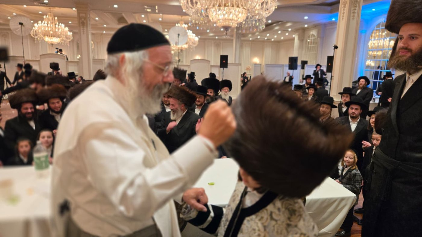 שמחת בית ניקלשבורג - סטרעטין | צילום: באדיבות המצלם