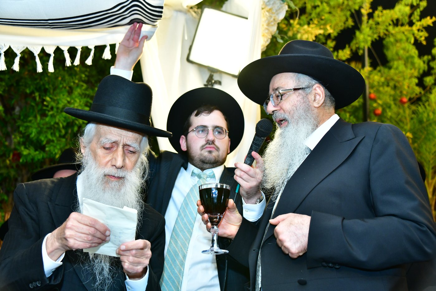 מהשמחה | צילום: שוקי לרר