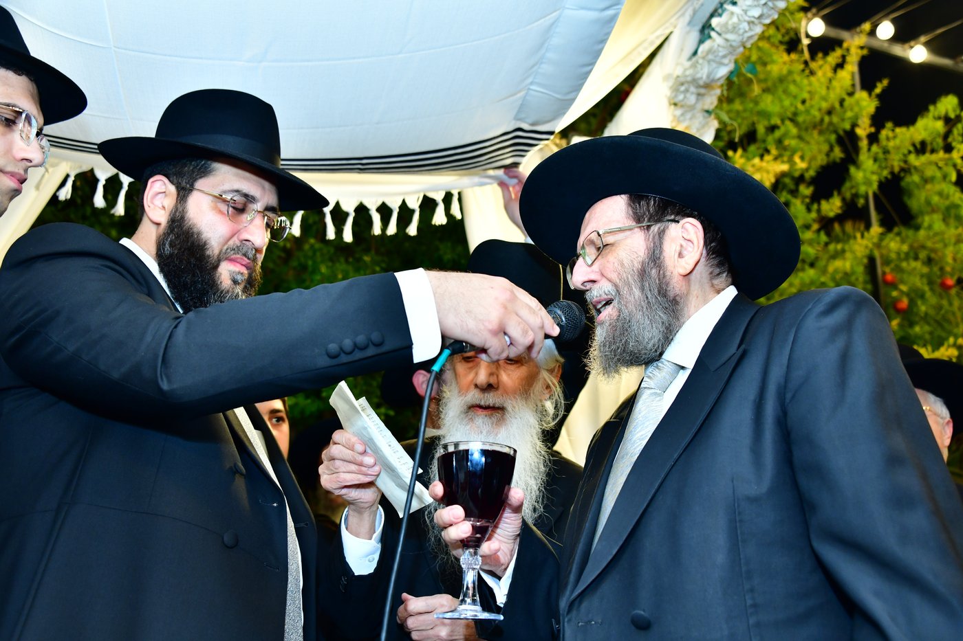 מהשמחה | צילום: שוקי לרר