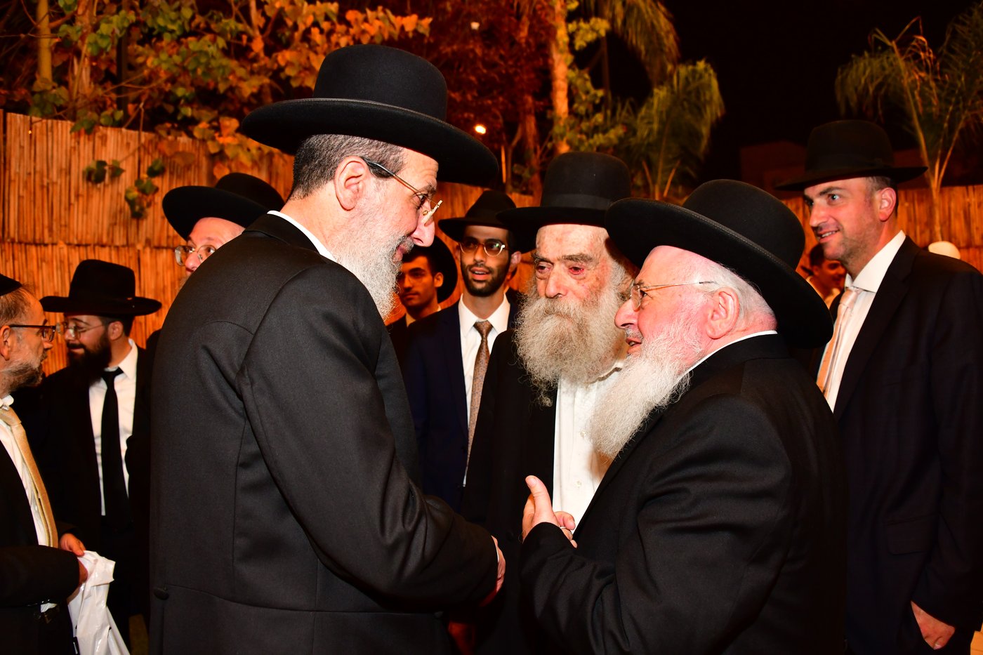 מהשמחה | צילום: שוקי לרר