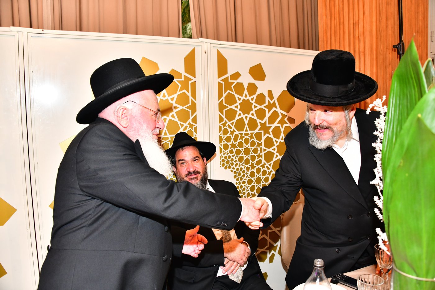מהשמחה | צילום: שוקי לרר
