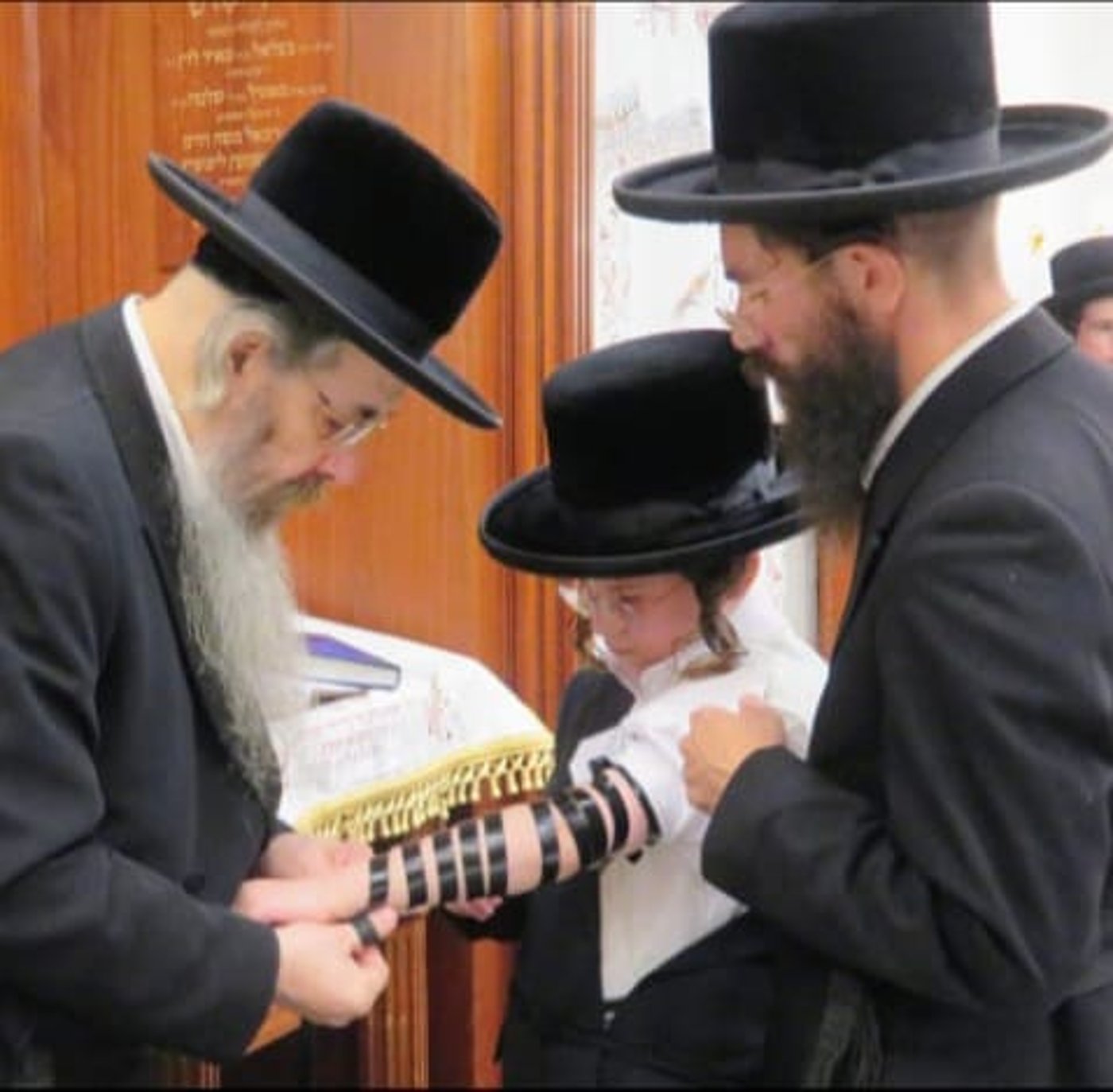 שמחת בר המצווה בחצרות טריסק-סאווראן • צילום: דוד קשת
