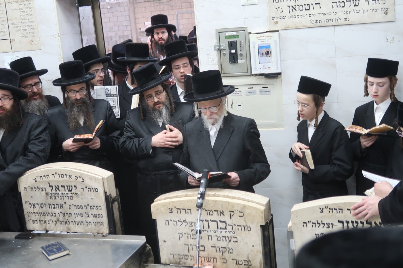 הילולא קדישא בסערט ויז'ניץ | צילום: קול ברמה