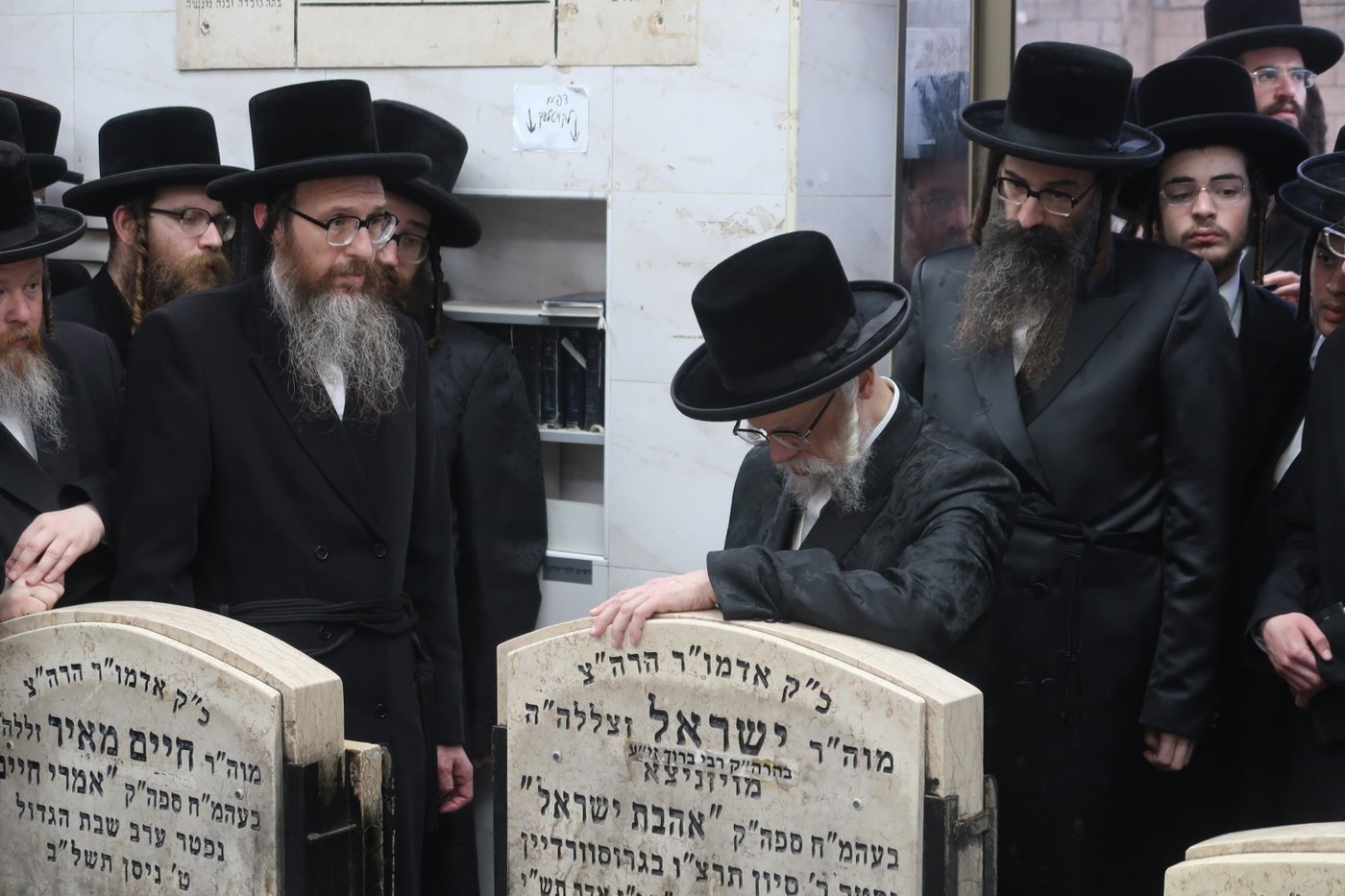 הילולא קדישא בסערט ויז'ניץ | צילום: קול ברמה
