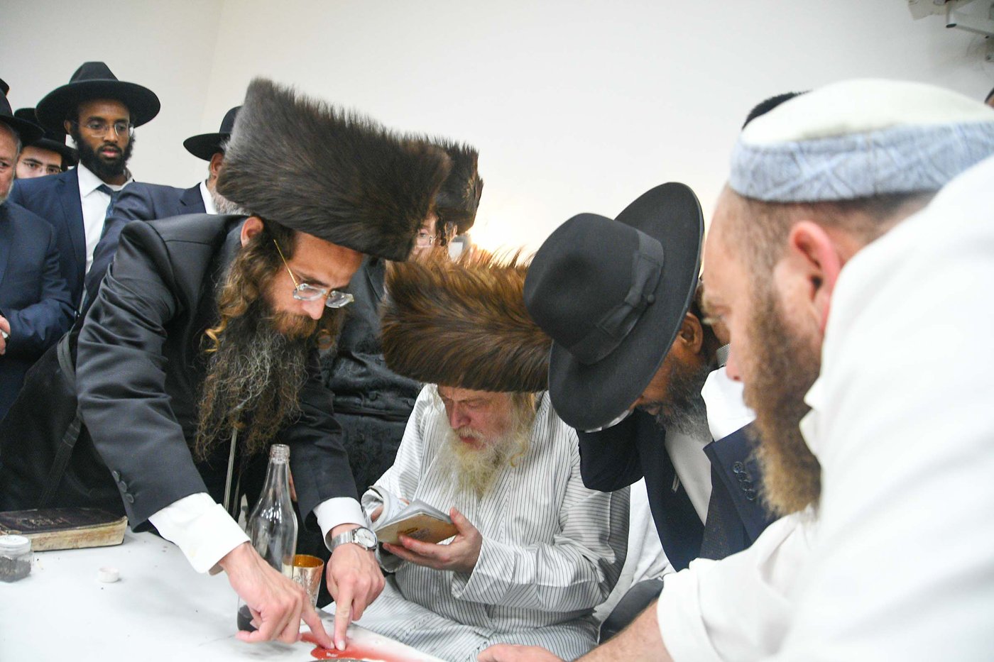 האדמו"ר ממבקשי אמונה שליט"א בעמנואל | צילום: ארי קופרשטוק
