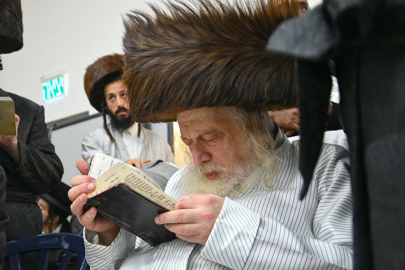האדמו"ר ממבקשי אמונה שליט"א בעמנואל | צילום: ארי קופרשטוק