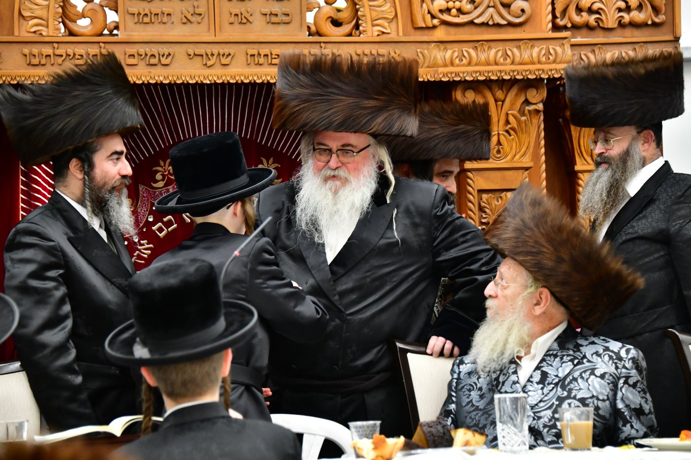 שמחת בר המצווה בחצר זוטשקא | צילום: שוקי לרר