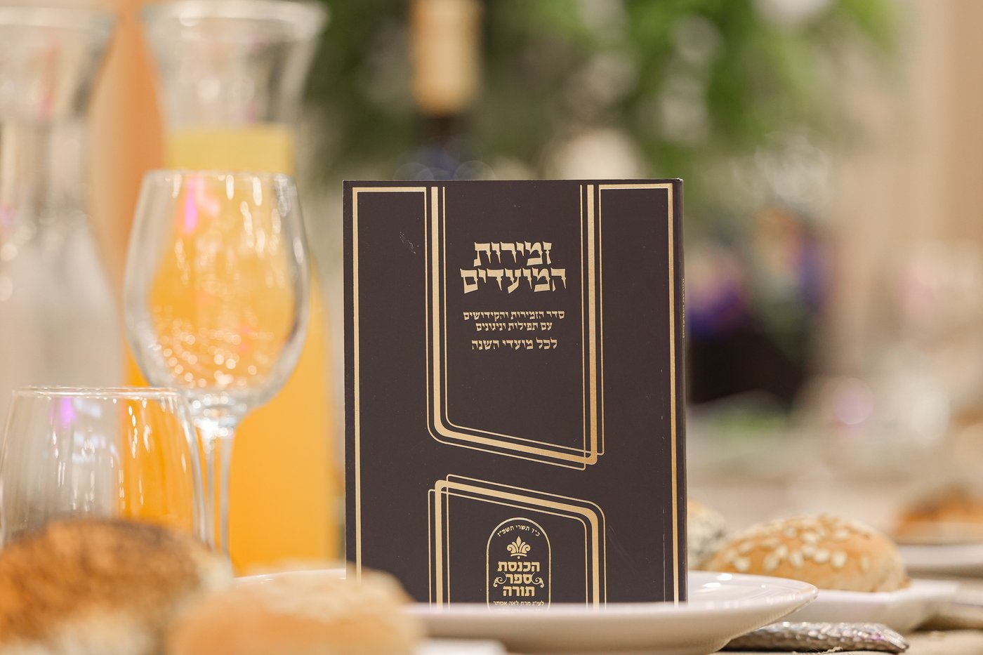 הכנסת ספר התורה | צילום: א. אייזנבאך