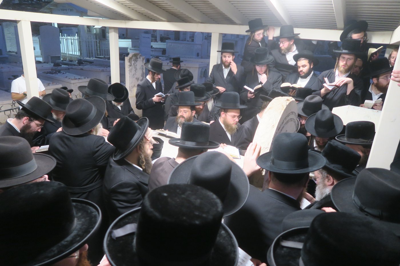 האדמו"ר מסטוטשין שליט"א בטבריה | צילום: מ. אדלר