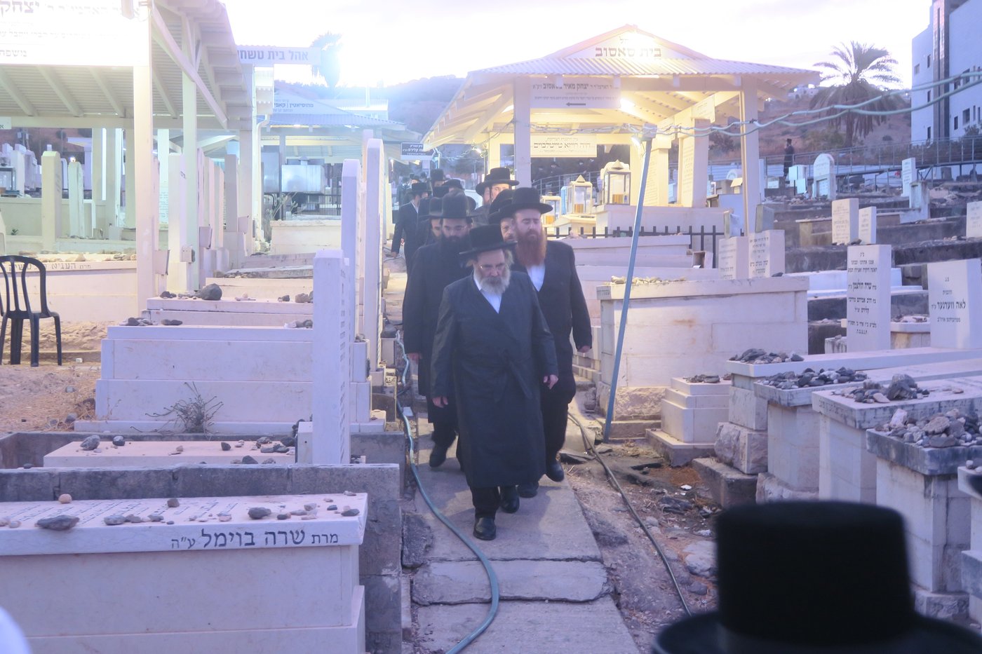 האדמו"ר מסטוטשין שליט"א בטבריה | צילום: מ. אדלר
