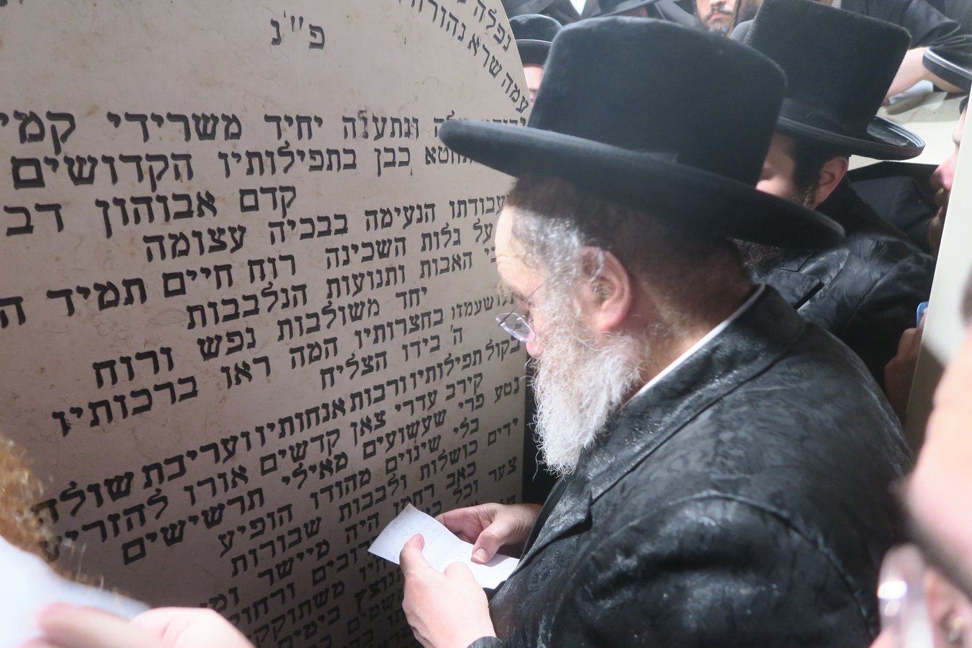 האדמו"ר מסטוטשין שליט"א בטבריה | צילום: מ. אדלר