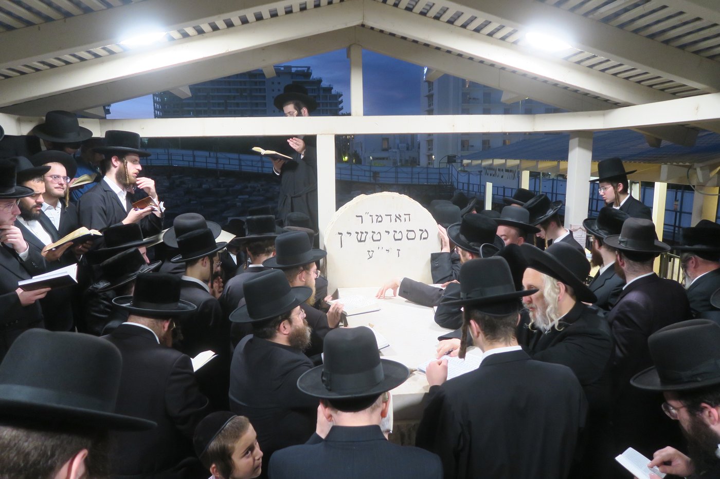 האדמו"ר מסטוטשין שליט"א בטבריה | צילום: מ. אדלר