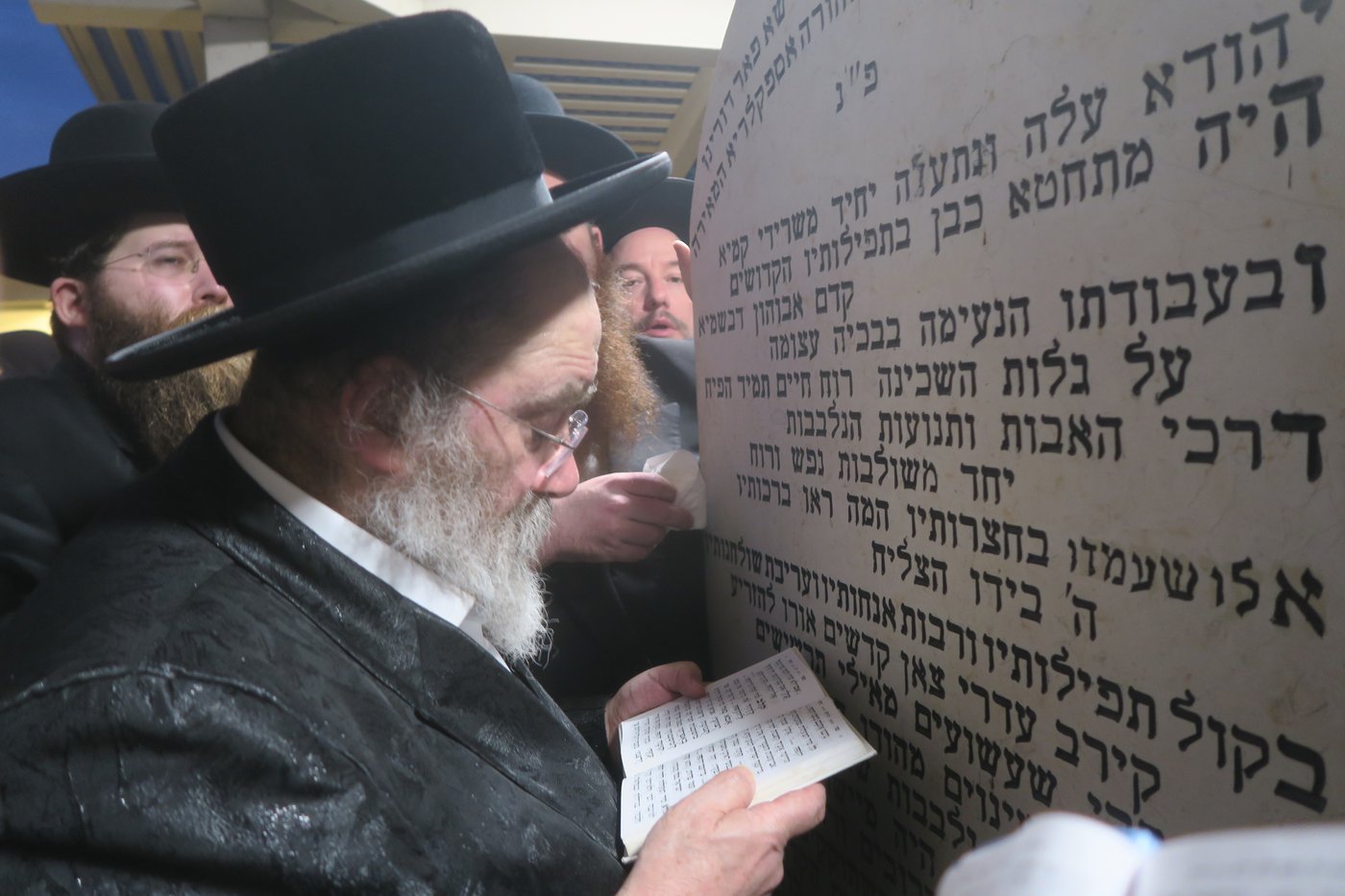 האדמו"ר מסטוטשין שליט"א בטבריה | צילום: מ. אדלר