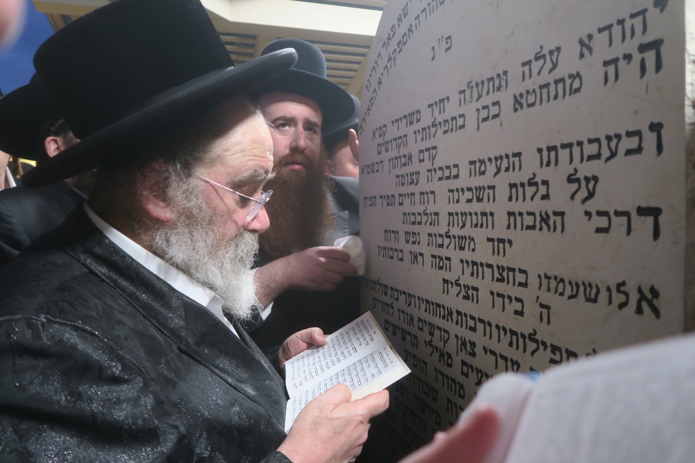 האדמו"ר מסטוטשין שליט"א בטבריה | צילום: מ. אדלר