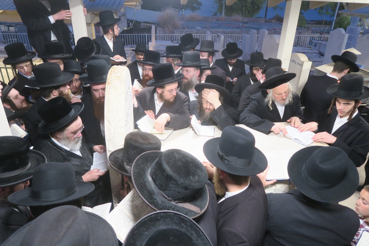 האדמו"ר מסטוטשין שליט"א בטבריה | צילום: מ. אדלר