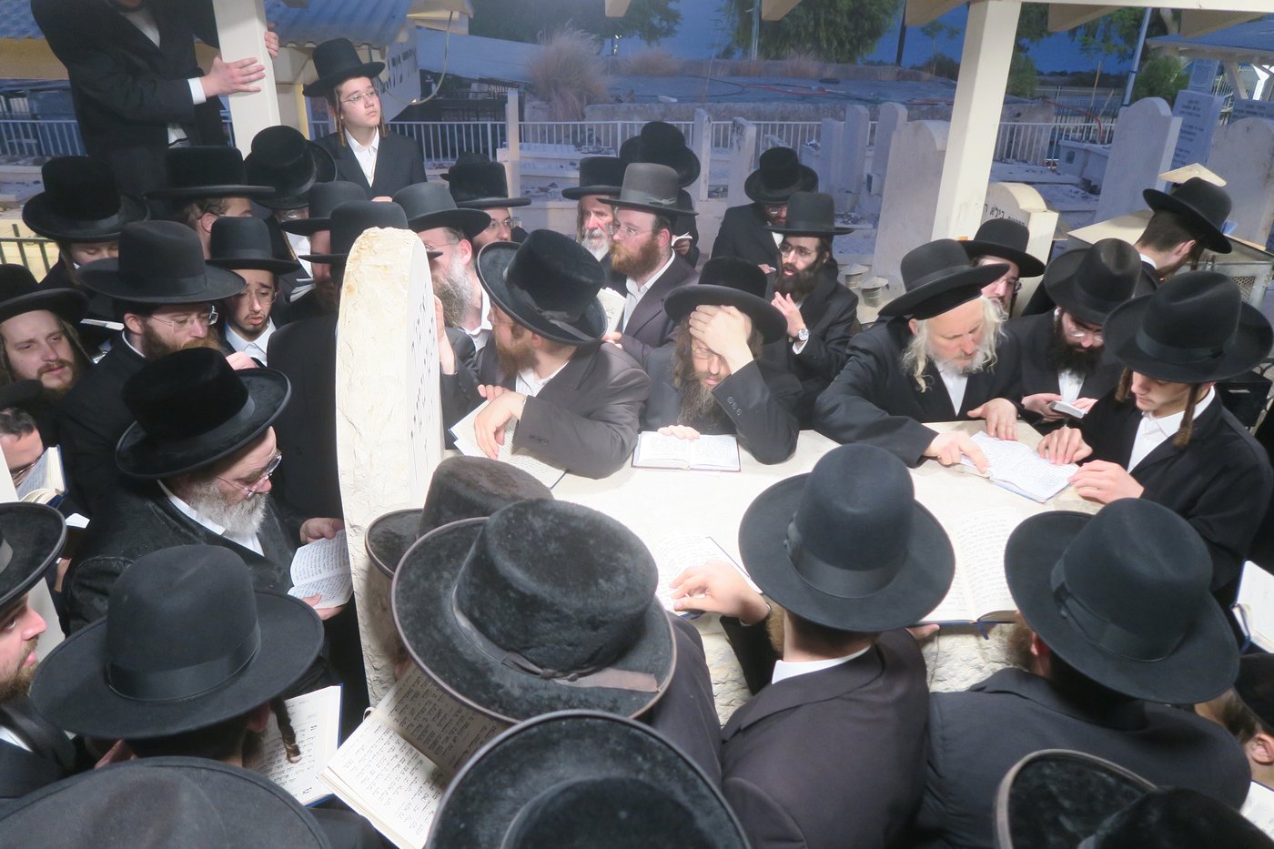 האדמו"ר מסטוטשין שליט"א בטבריה | צילום: מ. אדלר