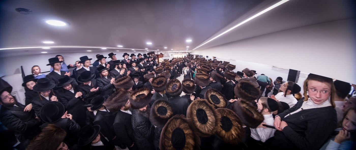 הכנסת ספר התורה בזידטשוב | צילום: JDN