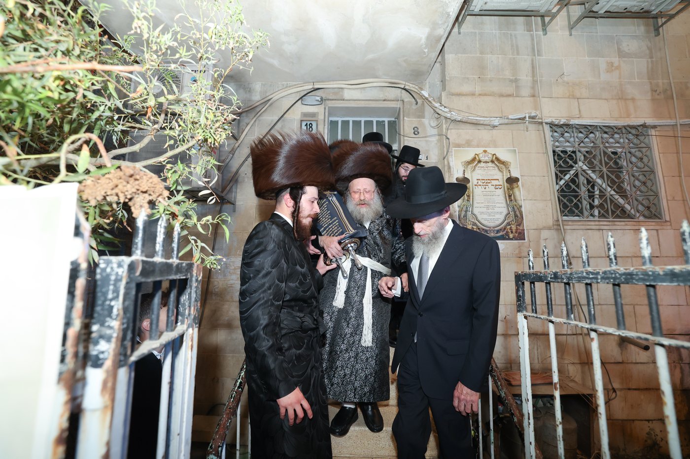 הכנסת ספר התורה בנדבורנה באניא