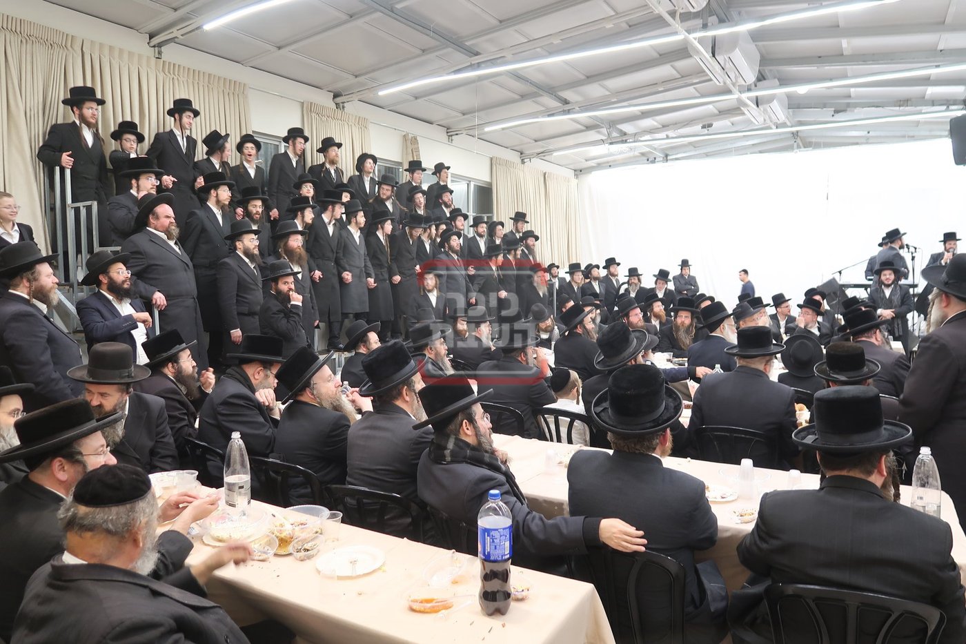 שמחת אירוסי נכד האדמו"ר מטולנא