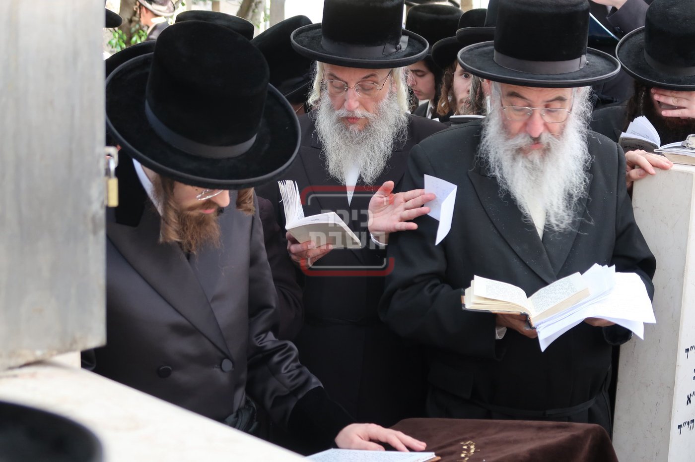 הילולא קדישא בסאדיגורה