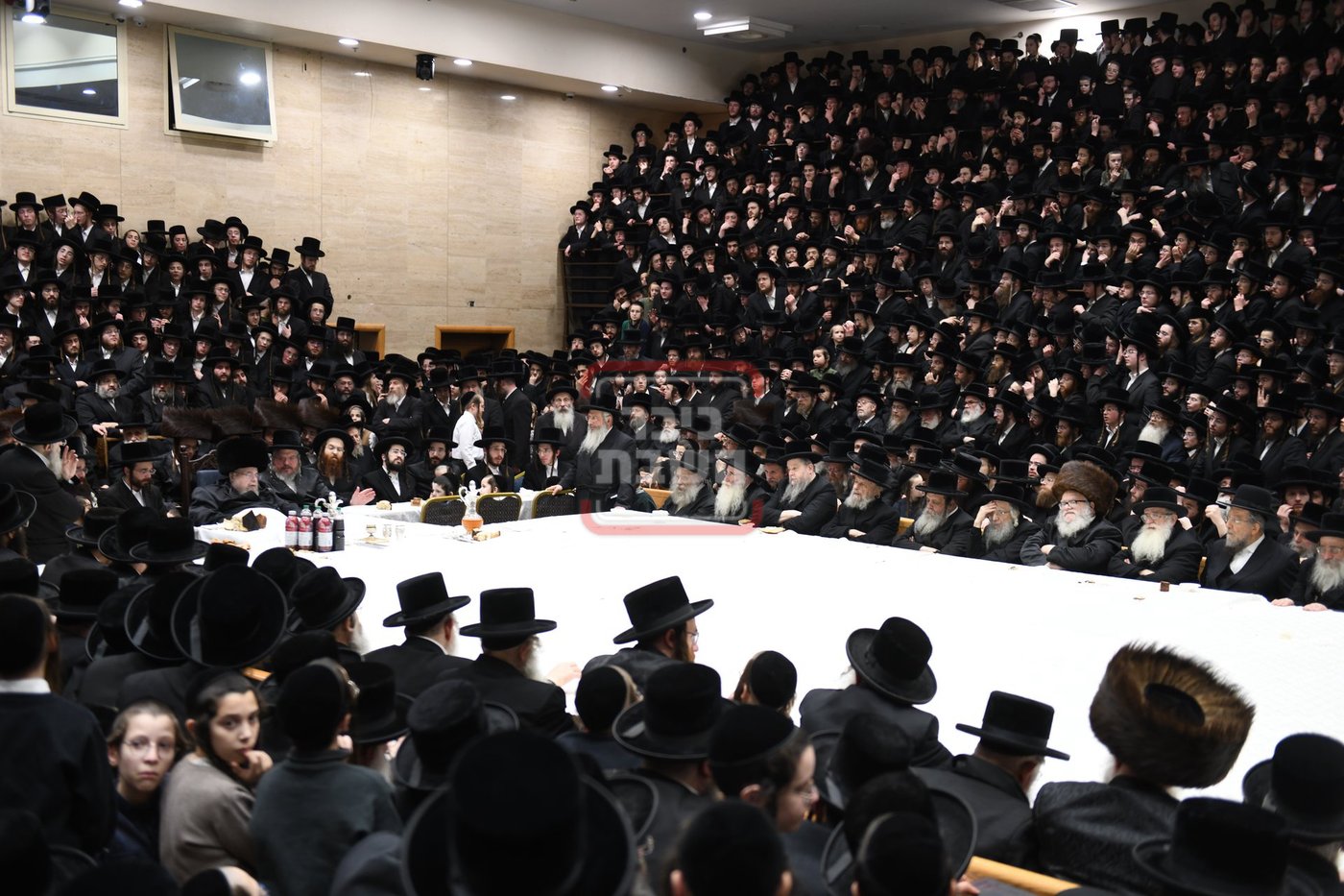 ט"ו בשבט בחצה"ק בעלזא