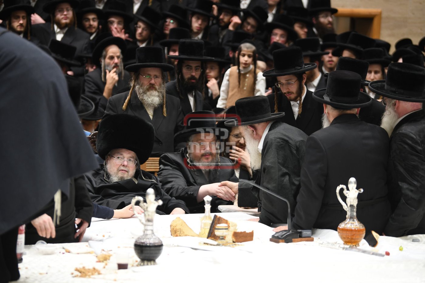 ט"ו בשבט בחצה"ק בעלזא