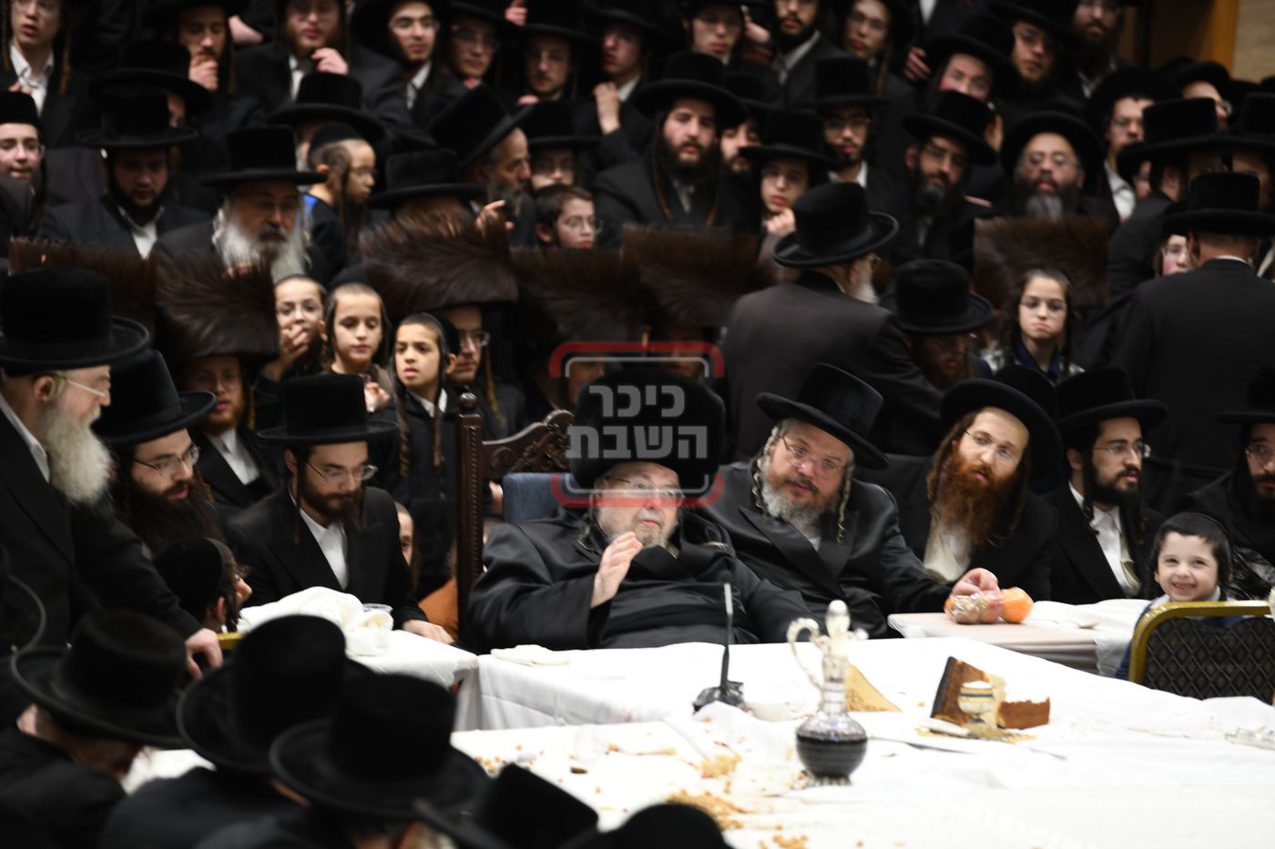 ט"ו בשבט בחצה"ק בעלזא