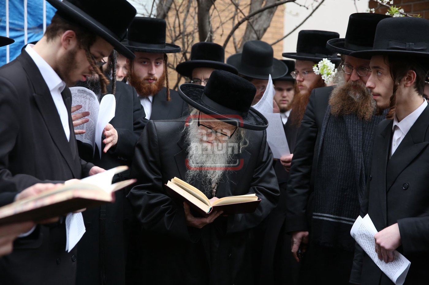 האדמו"ר מסערדאהעלי בברכת אילנות