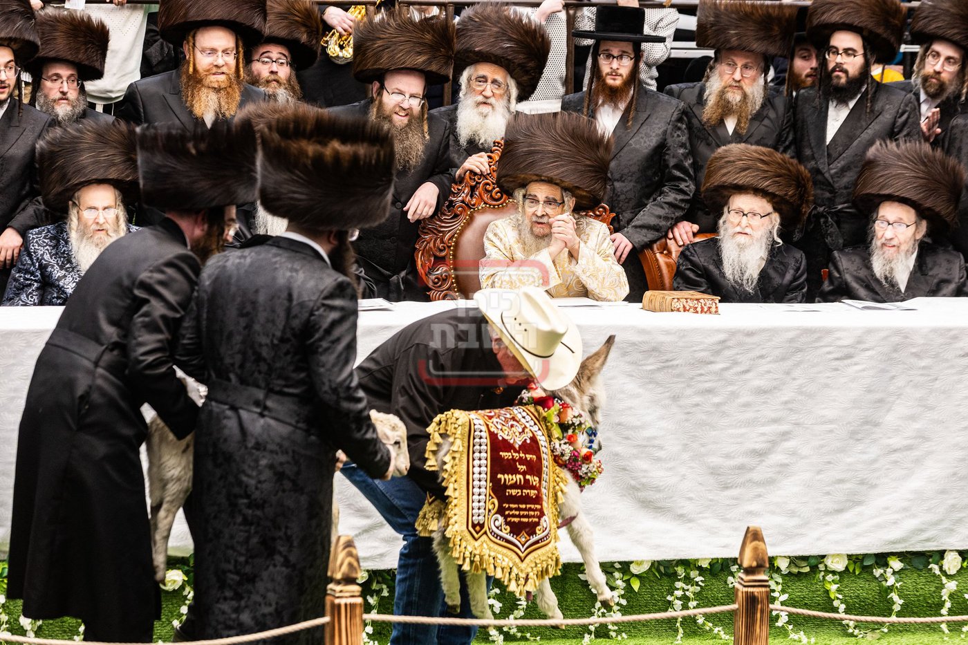 מעמד פדיון פטר חמור בסאטמר בהשתתפות האדמו"ר מסערדאהעלי