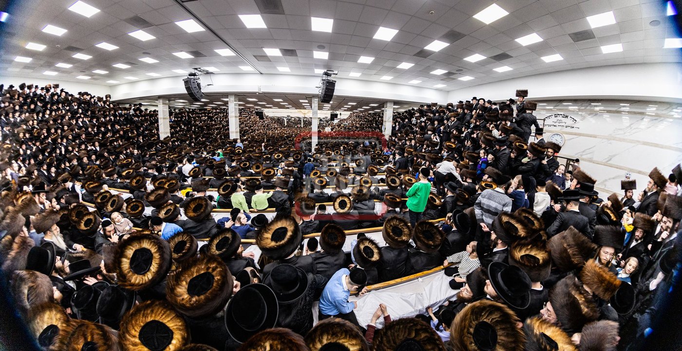 מעמד פדיון פטר חמור בסאטמר בהשתתפות האדמו"ר מסערדאהעלי