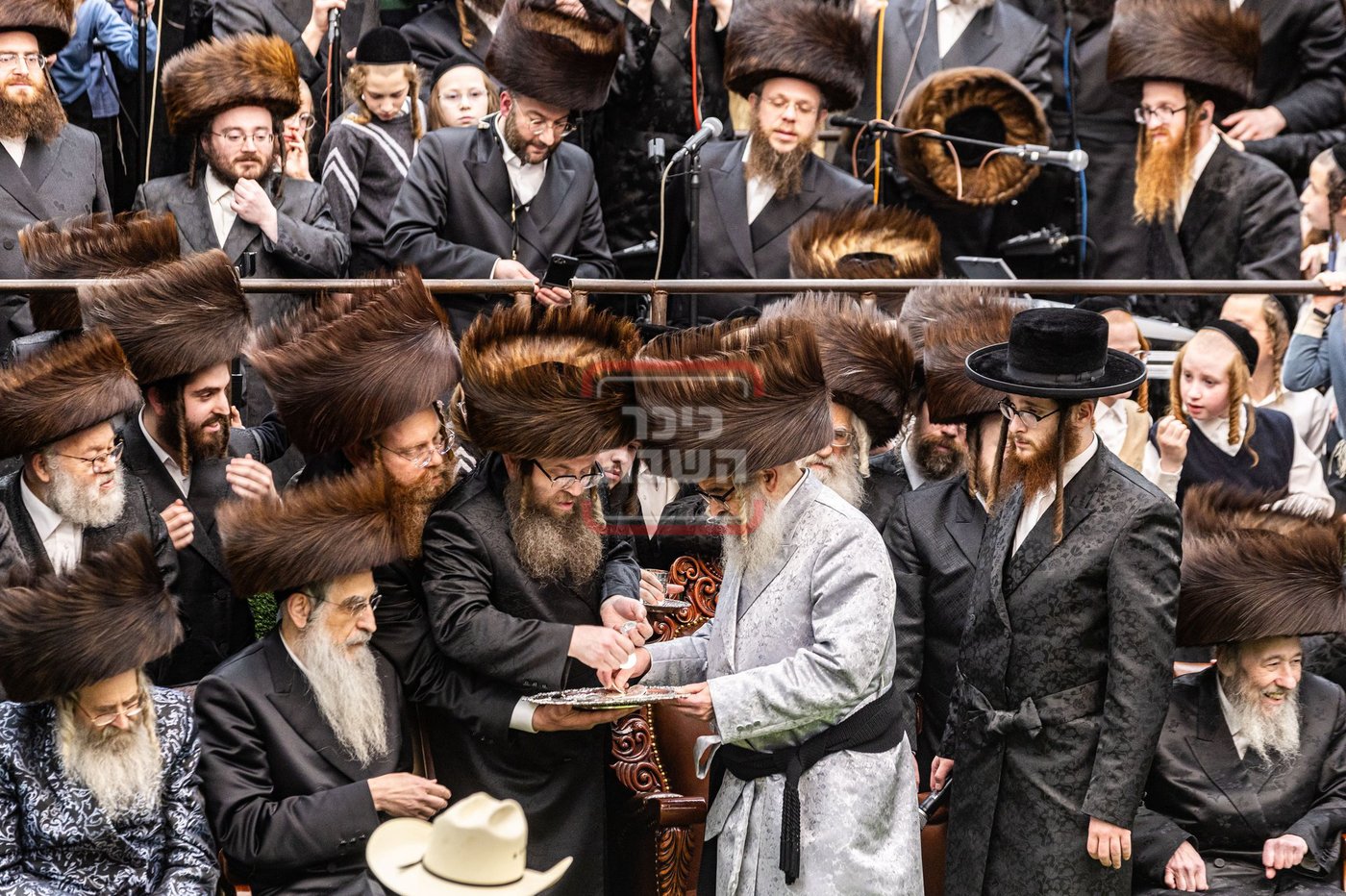 מעמד פדיון פטר חמור בסאטמר בהשתתפות האדמו"ר מסערדאהעלי