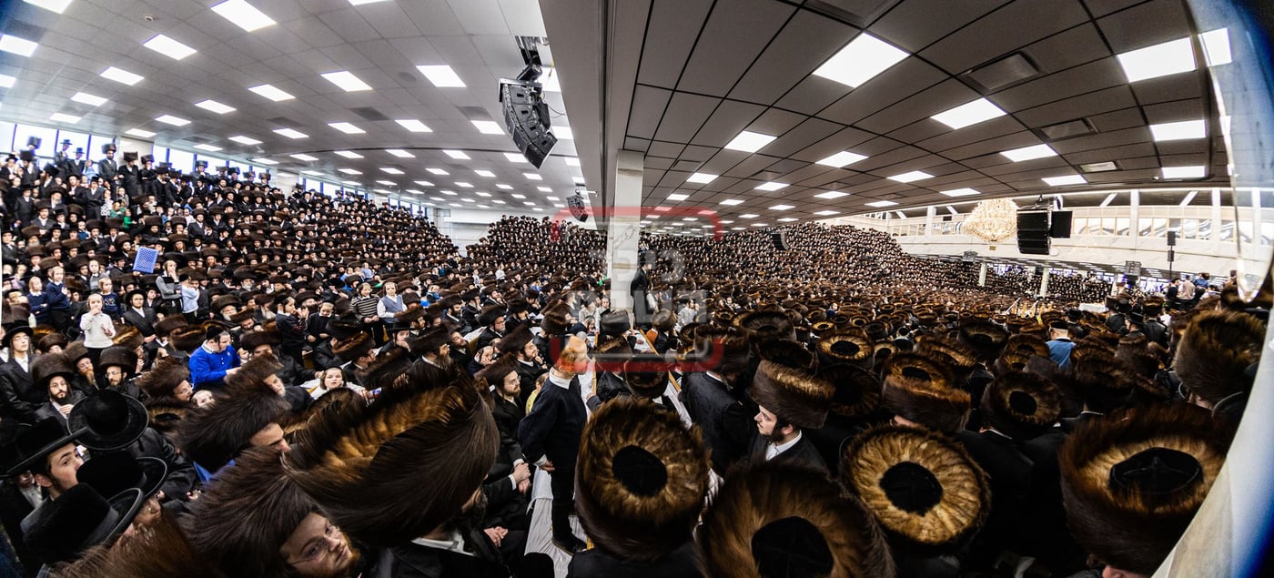 מעמד פדיון פטר חמור בסאטמר בהשתתפות האדמו"ר מסערדאהעלי