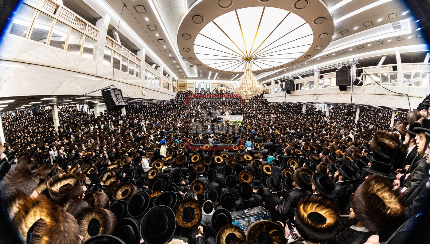 מעמד פדיון פטר חמור בסאטמר בהשתתפות האדמו"ר מסערדאהעלי