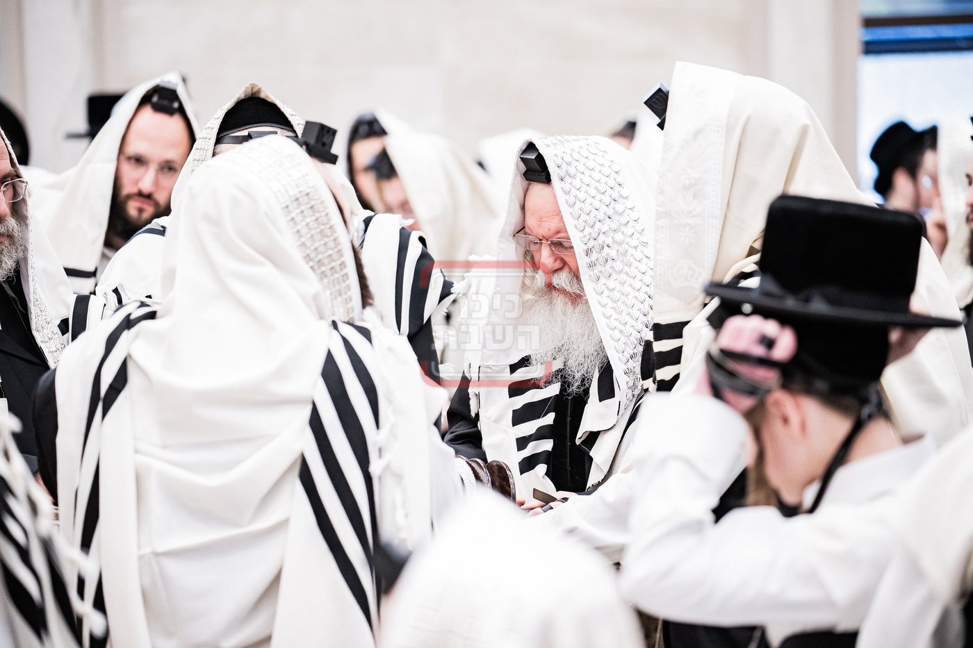 האדמו"ר מבאבוב בעליה לתורה במונסי