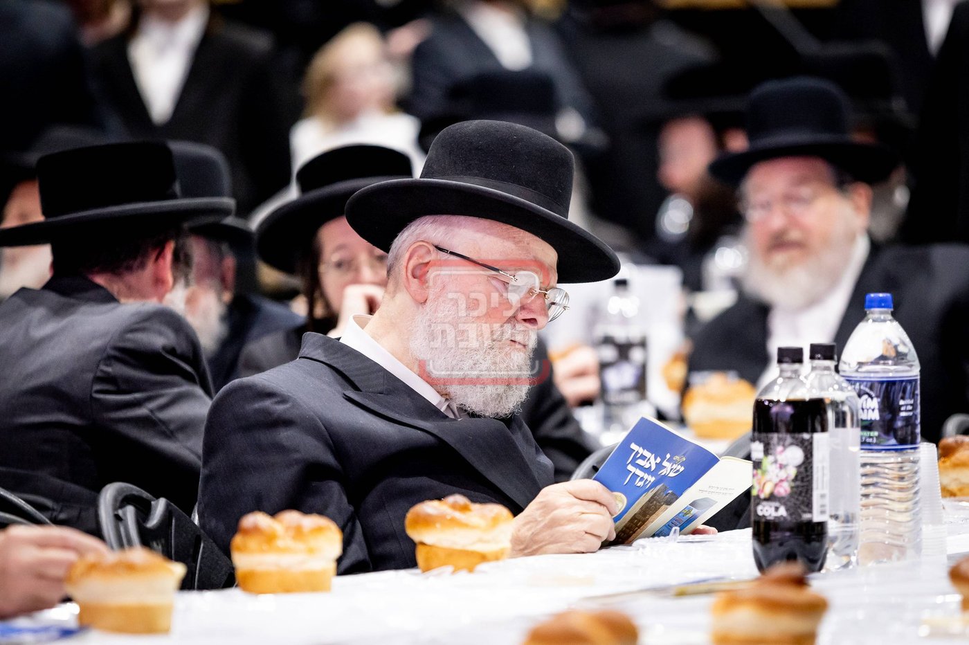 ל"ג בעומר בחצה"ק סאטמר