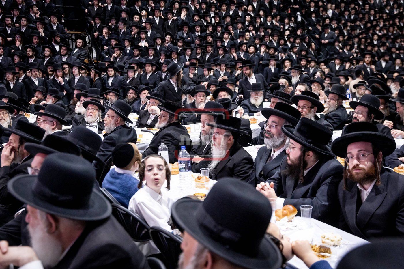 ל"ג בעומר בחצה"ק סאטמר