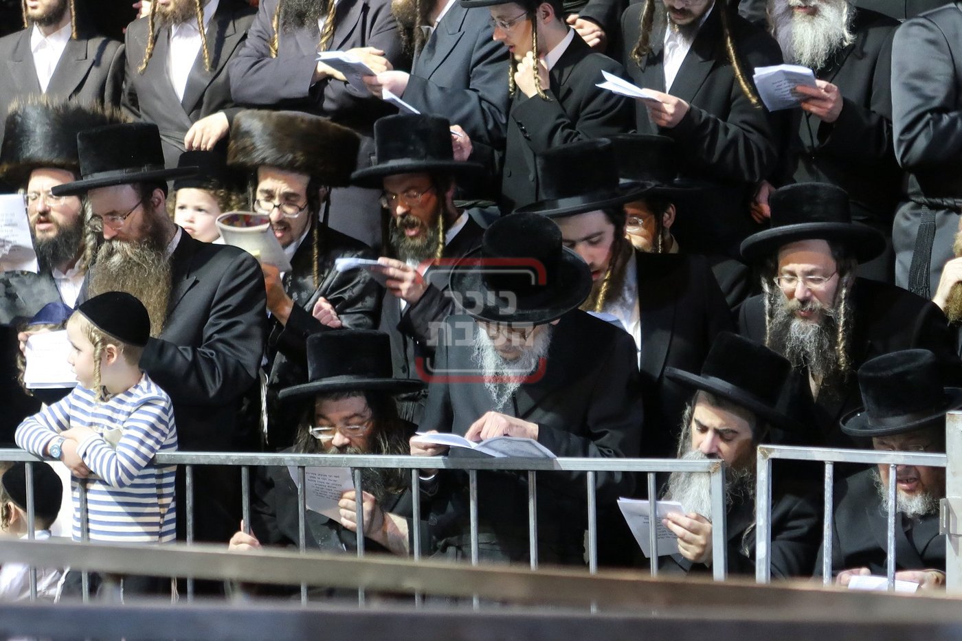 ל"ג בעומר בחצה"ק מחנובקה בעלזא