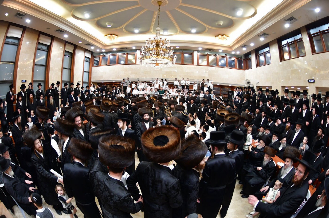 הכנסת ס"ת לביהמ"ד 'שבט הלוי'