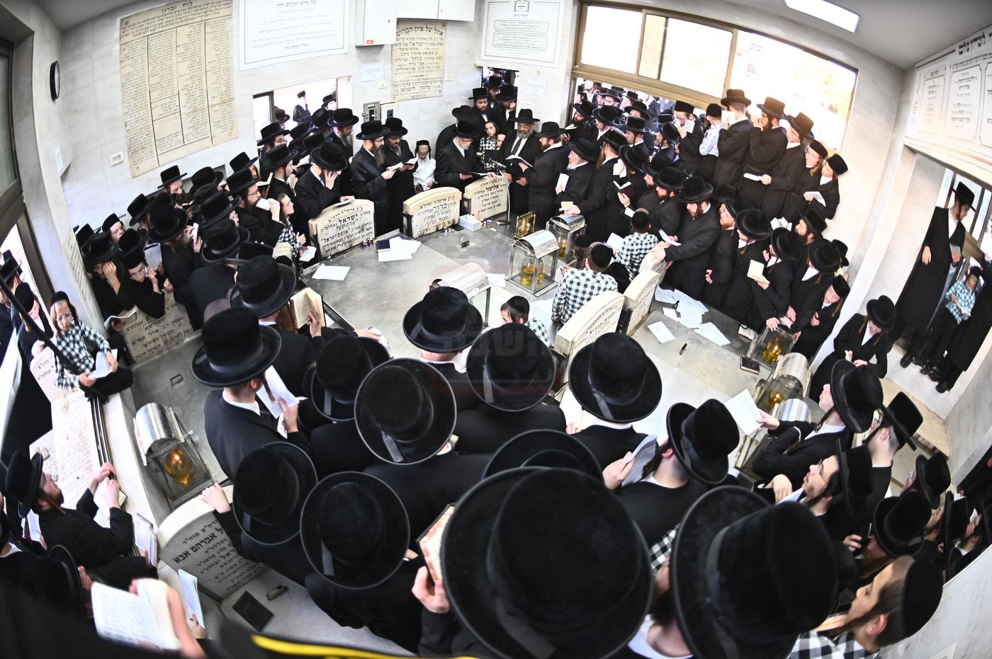 האדמו"ר מסערט ויז'ניץ בתפילה באוהל בית ויז'ניץ בבני ברק